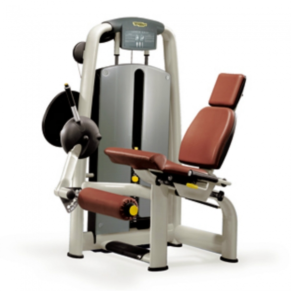 Technogym Leg Extension - Selection Line TECHNOM991
